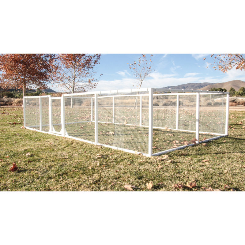 Tucker Murphy Pet Broadbent Poultry Fencing Chicken Run Wayfair
